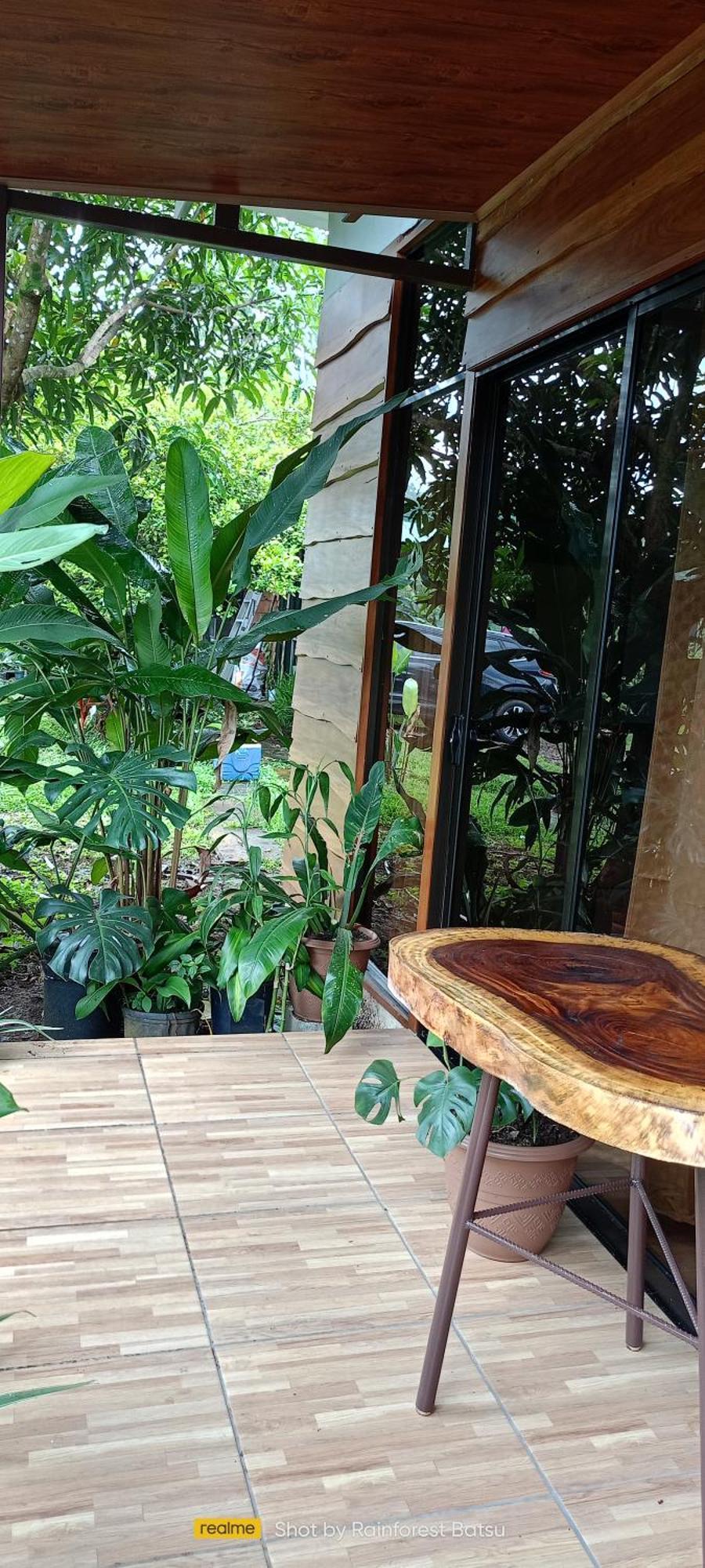 Bungalow Batsu La Fortuna 객실 사진